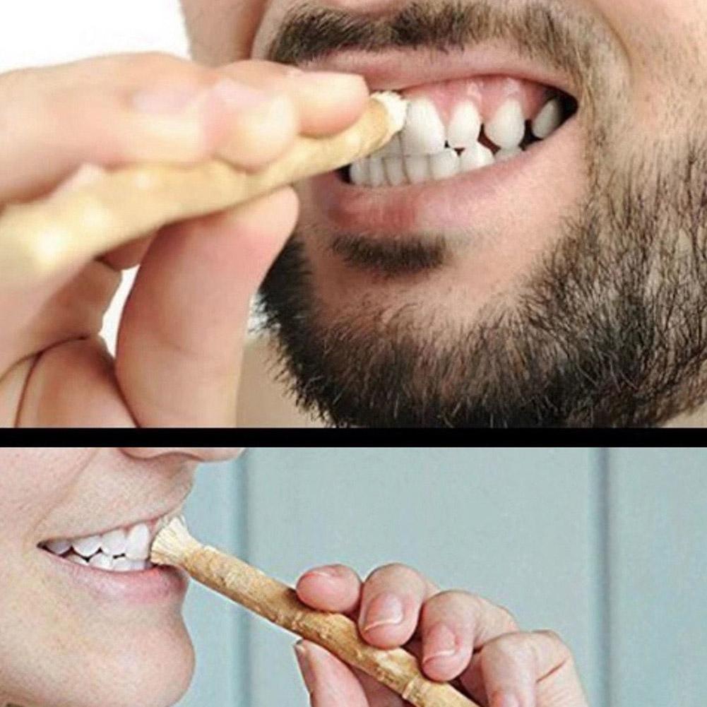 Miswak Siwak Natural Toothbrus - Teeth Whitening Naturally ulasan dan harga