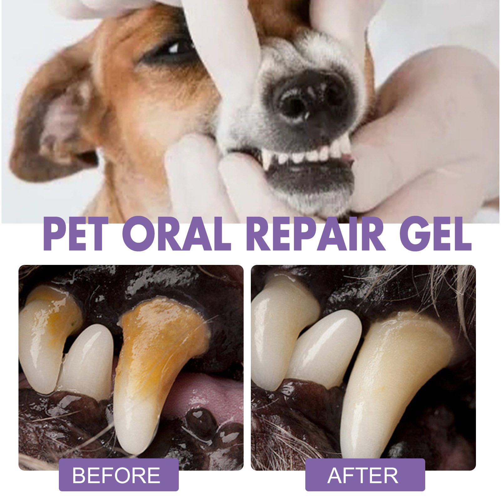Pet Oral Repair Gel Puppy Tart - Teeth Whitening Singapore ulasan dan harga