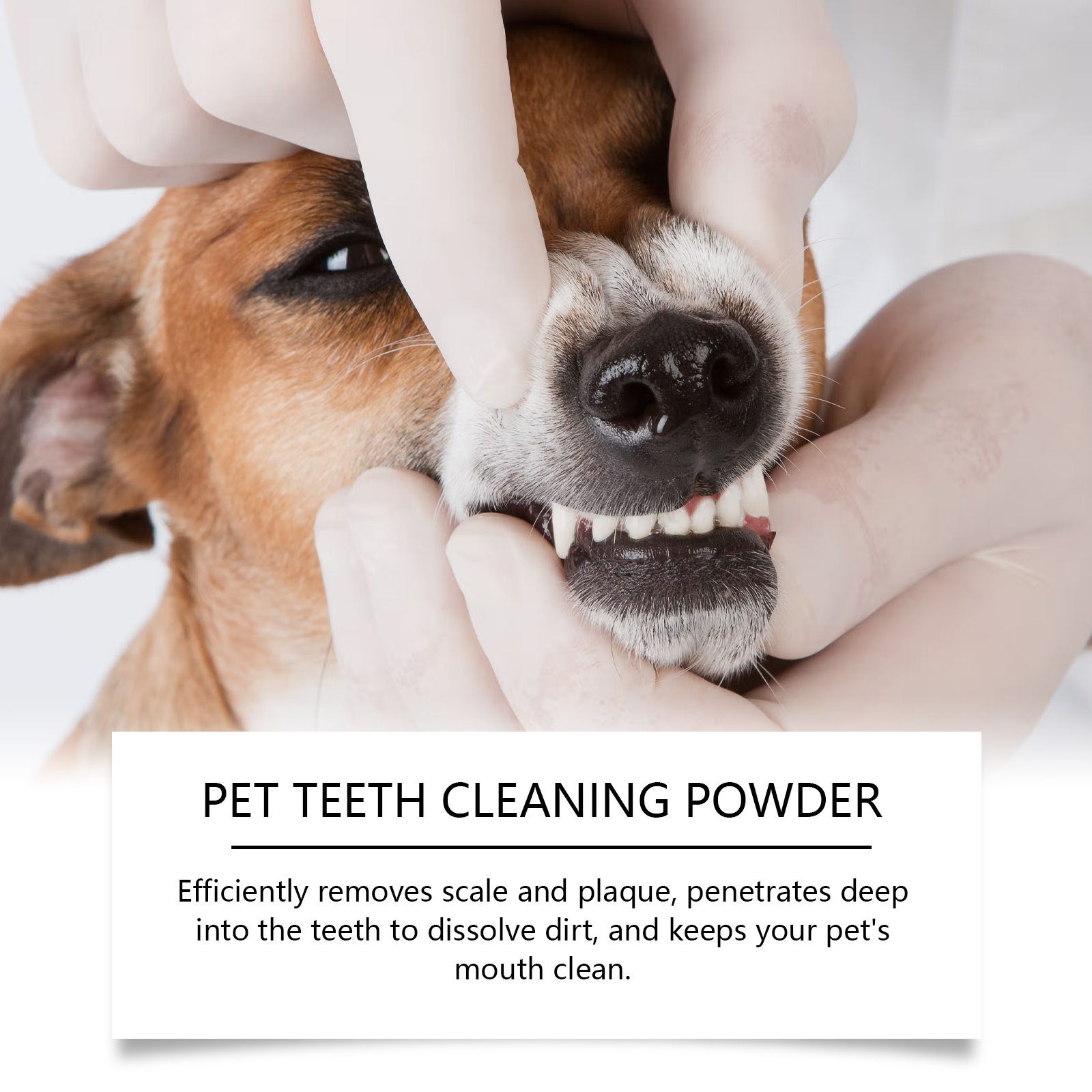 Pet Teeth Cleaning Powder Redu - Teeth Whitening China ulasan dan harga