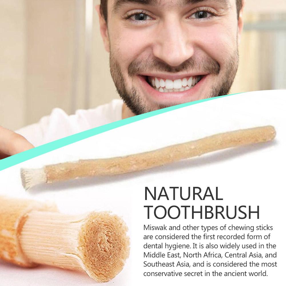 Natural Miswak Siwak Toothbrus - Teeth Whitening Naturally ulasan dan harga